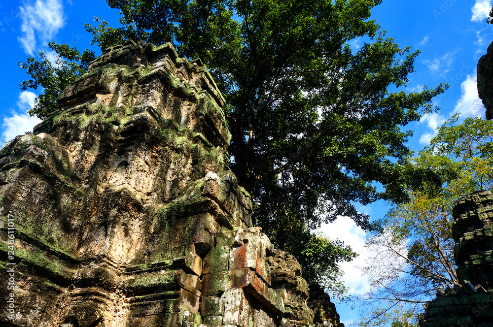 old temple in Cambodia with roots