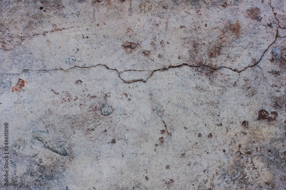 Cracks of the wall and green moss. Cracks of the wall and green moss.