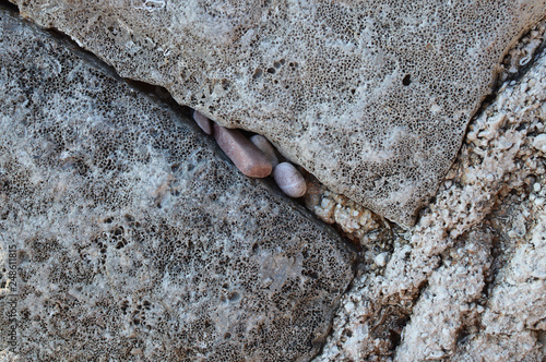 Textured stones closeup.