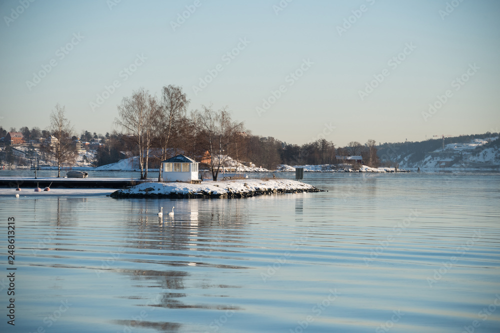 Fototapeta premium Snowy winter view in Stockholm, small island with swans