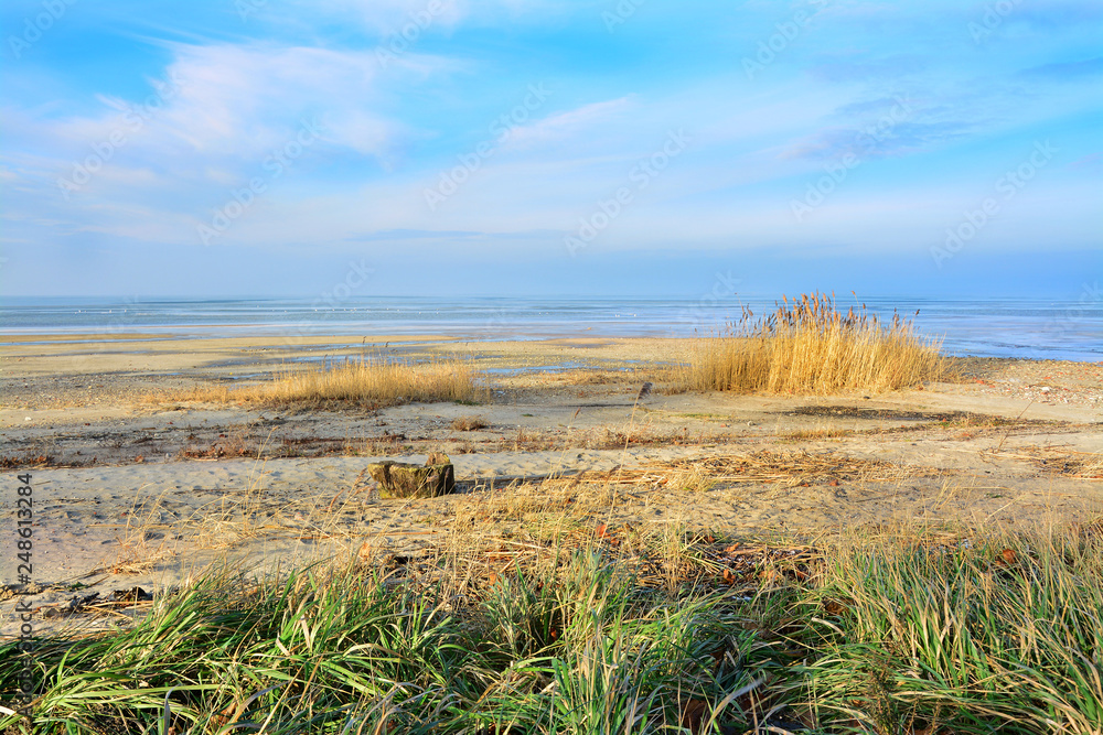 piękna plaża o poranku piękna plaża o poranku