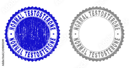 Grunge NORMAL TESTOSTERONE stamp seals isolated on a white background. Rosette seals with grunge texture in blue and grey colors.