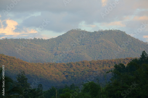 landscape of green jungle mountain
