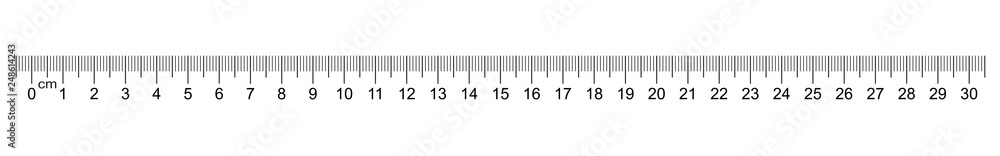 Ruler 30 centimeter. Value of division 1 mm. Precise length measurement device. Calibration grid. Ruler 30 centimeter. Value of division 1 mm. Precise length measurement device. Calibration grid.