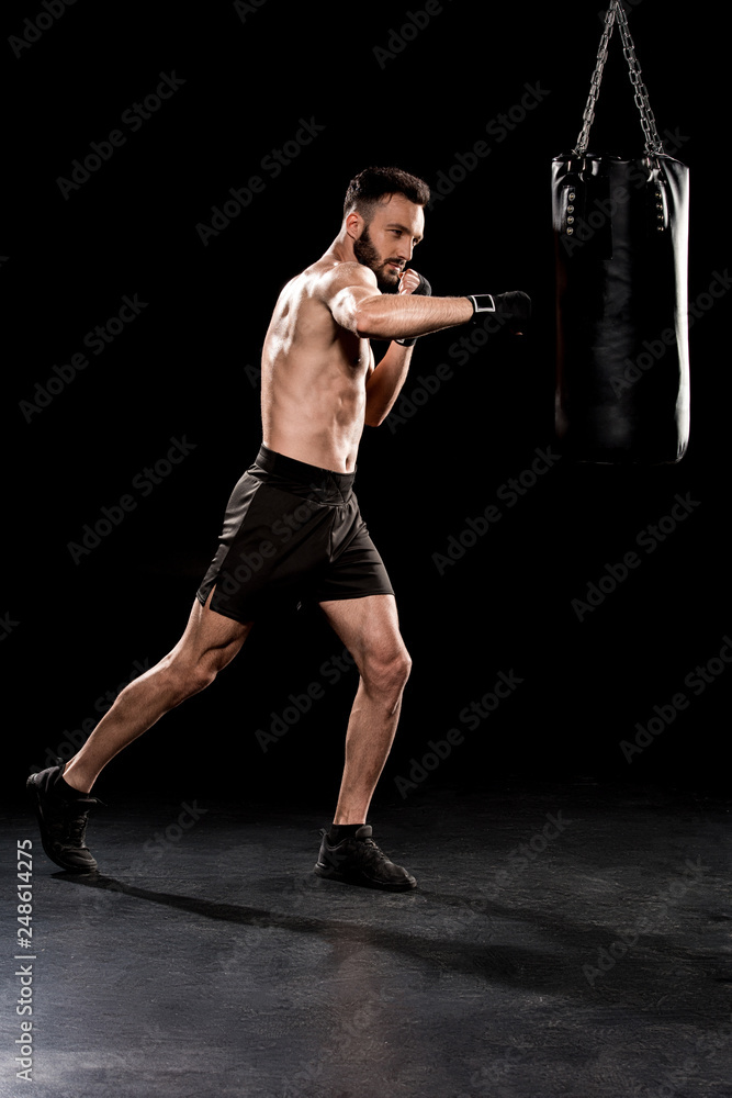shortless bearded man kicking punching bag  on black background