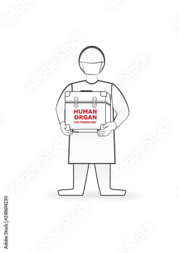 doctor holds in hands box with human organ for transplant isolated on the white background, horizontal vector illustration