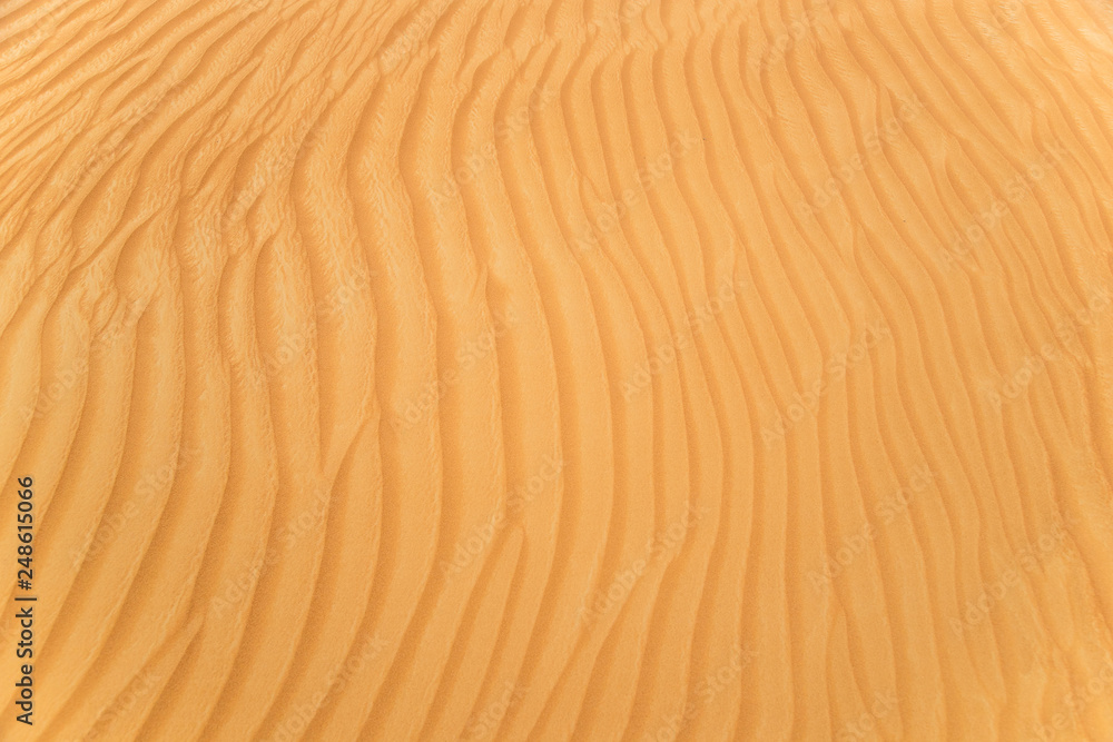 Detail of a beautiful desert sand dune, close-up texture. Detail of a beautiful desert sand dune, close-up texture.