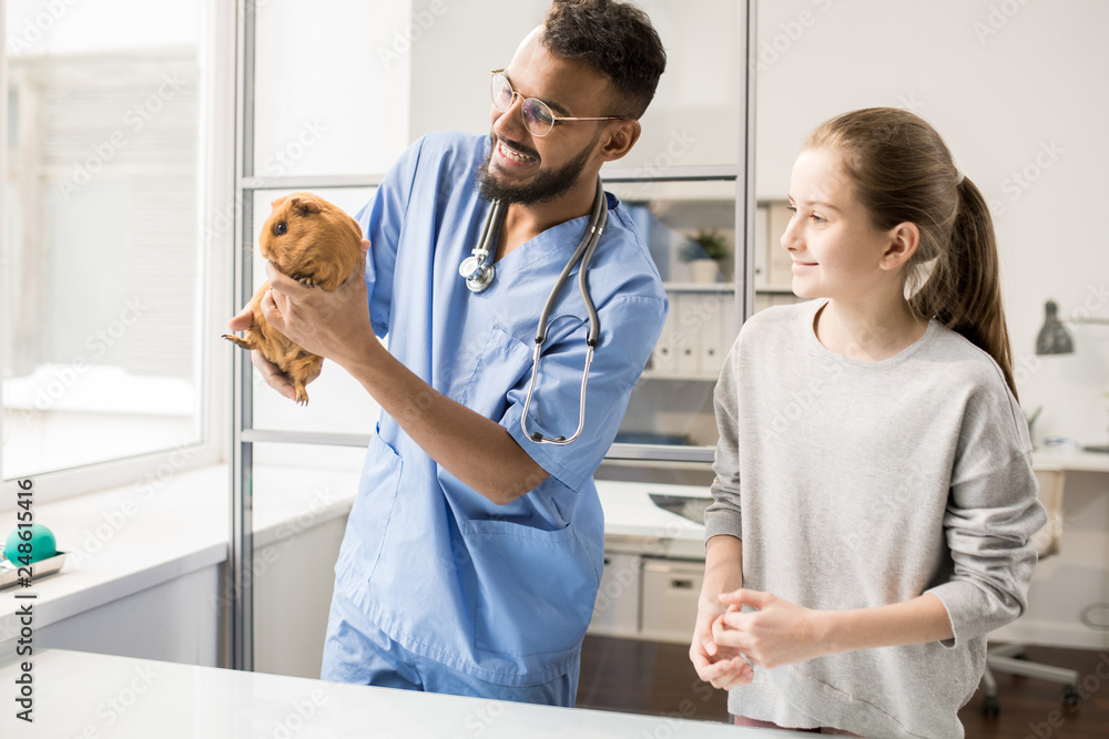 Obraz premium Healing pet