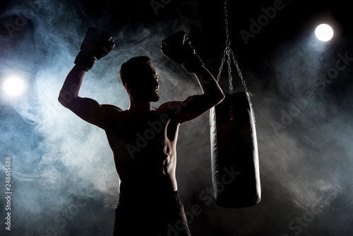 silhouette of muscular athlete in boxing gloves with hands above head on black with smoke © LIGHTFIELD STUDIOS