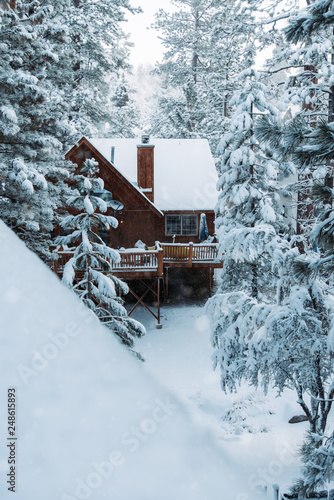 Cabin in the Snow