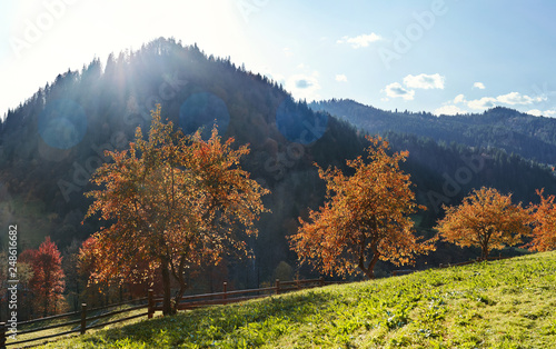 beautiful brihgt mountain landscape in the mountain village Dzembronya  Western Ukraine