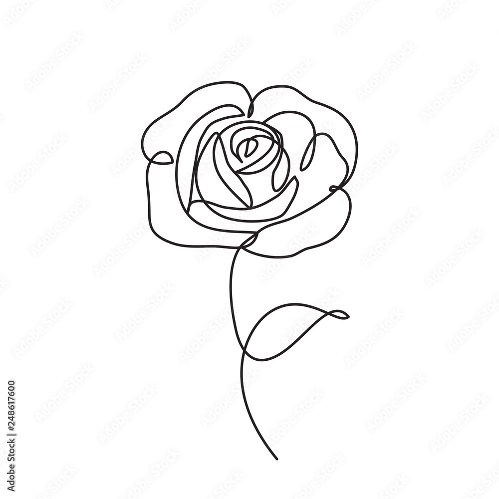 Fototapeta ikona linii róży