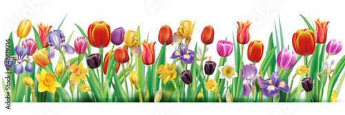 Arrangement with multicolor spring flowers over white background