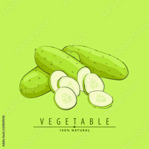 vector cucumbers illustration