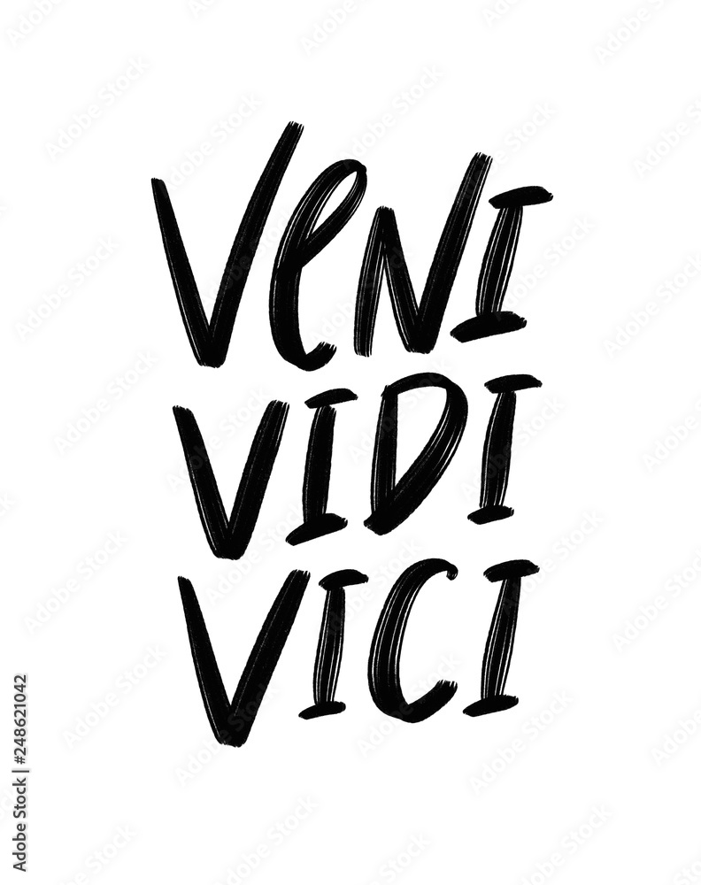 Vidi. Vici. Veni.