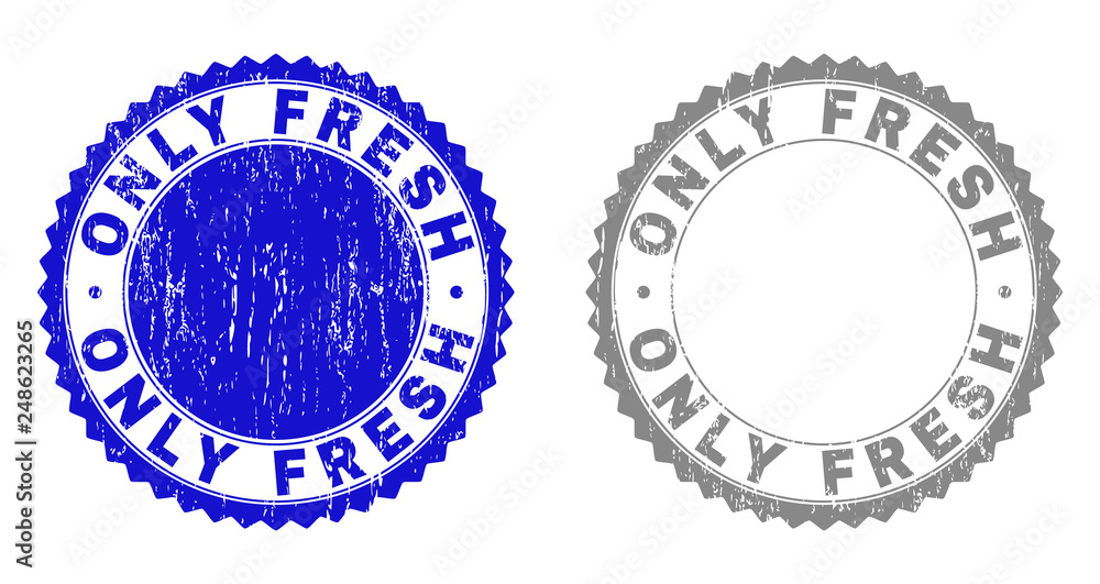 Grunge ONLY FRESH stamp seals isolated on a white background. Rosette seals with grunge texture in blue and grey colors. Vector rubber stamp imprint of ONLY FRESH text inside round rosette. Grunge ONLY FRESH stamp seals isolated on a white background. Rosette seals with grunge texture in blue and grey colors. Vector rubber stamp imprint of ONLY FRESH text inside round rosette.