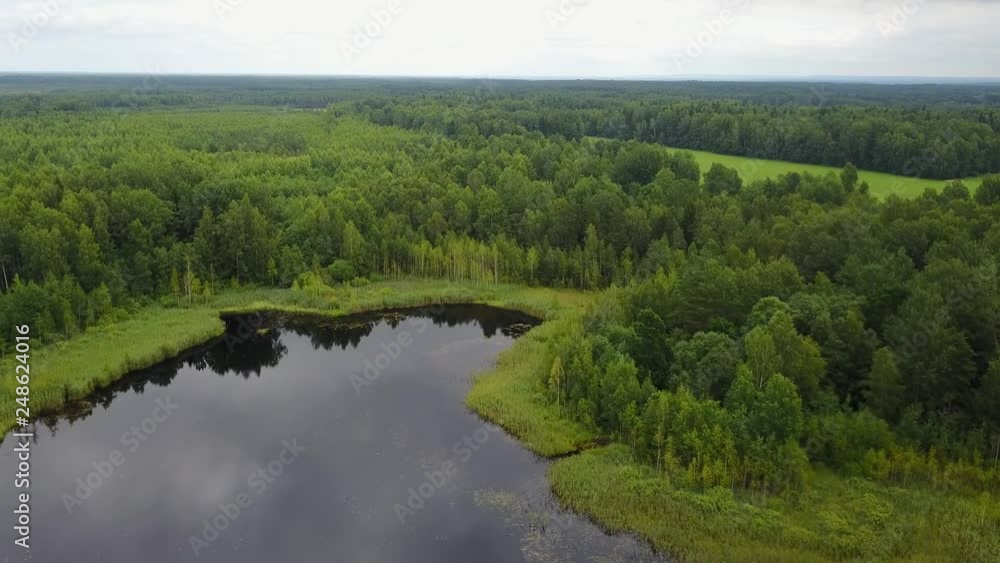 Small lake in the forest Small lake in the forest