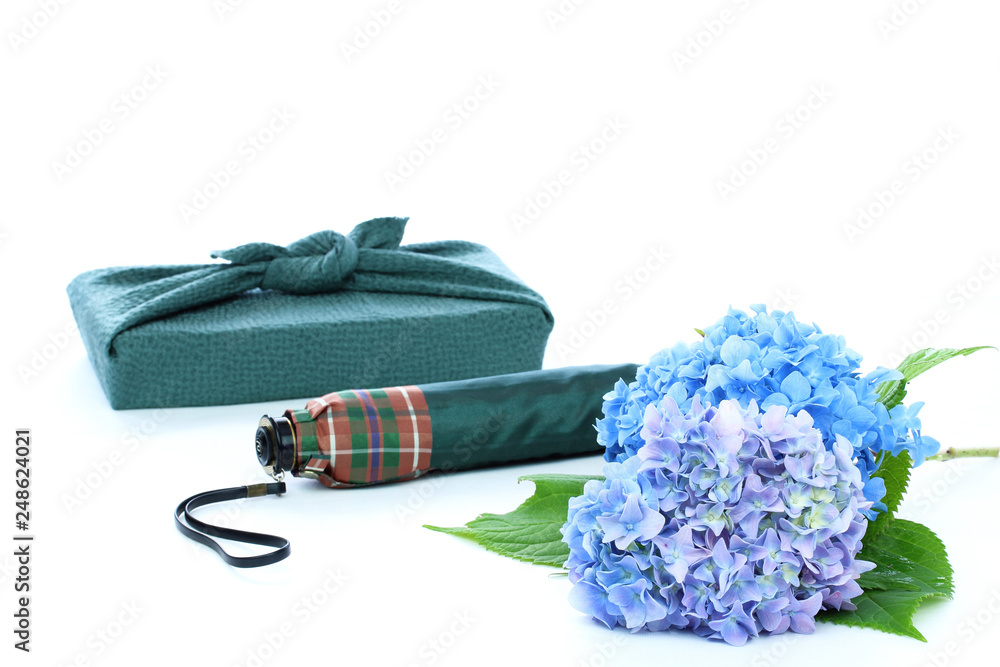 紫陽花の花と折り畳み傘と風呂敷包み Stock Photo Adobe Stock 紫陽花の花と折り畳み傘と風呂敷包み Stock Photo Adobe Stock
