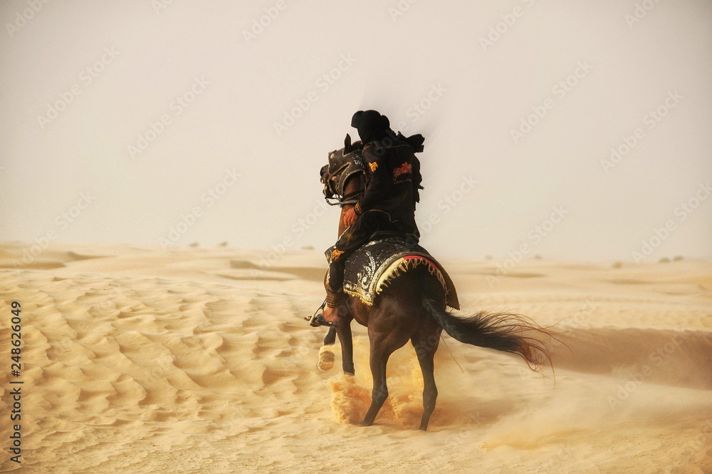 Naklejka premium Sahara