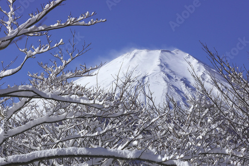 冬の富士山、雪煙、1月の富士山、山中湖、快晴富士、冬富士