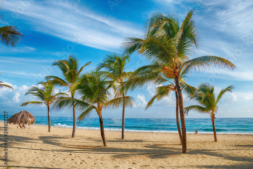 paradise sandy beach with palm trees © blackguitar1