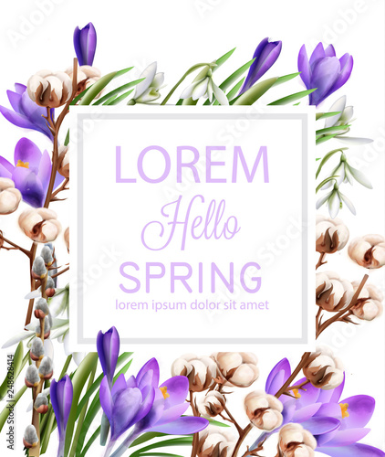 Crocus and cotton flowers Vector watercolor. Spring season delicate frame. Te...