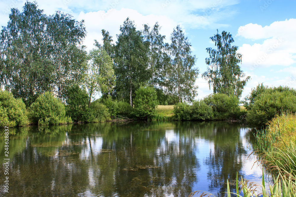 Lake image. Forest Lake. Summer landscape. The lake is surrounded by trees. Lake image. Forest Lake. Summer landscape. The lake is surrounded by trees.