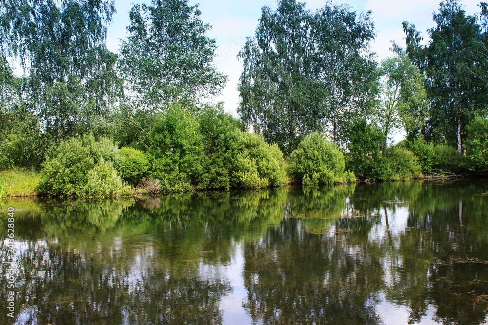 Lake image. Forest Lake. Summer landscape. The lake is surrounded by trees. Lake image. Forest Lake. Summer landscape. The lake is surrounded by trees.