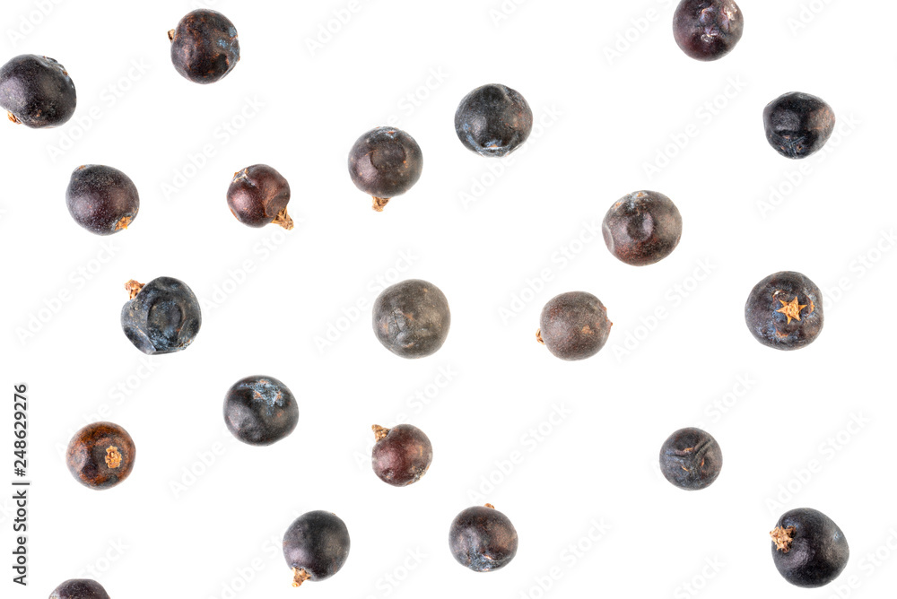 Black Juniper berries isolated on white background - obrazy, fototapety, plakaty 