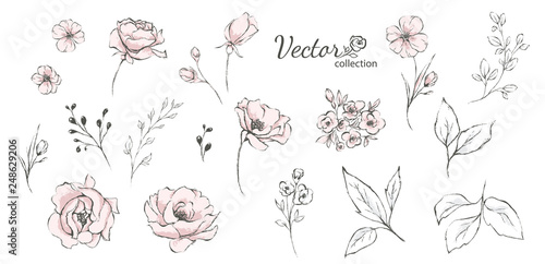 Set of floral branch. Flower rose,  leaves. Wedding concept with flowers. Floral poster, invite. Vector arrangements for greeting card or invitation design