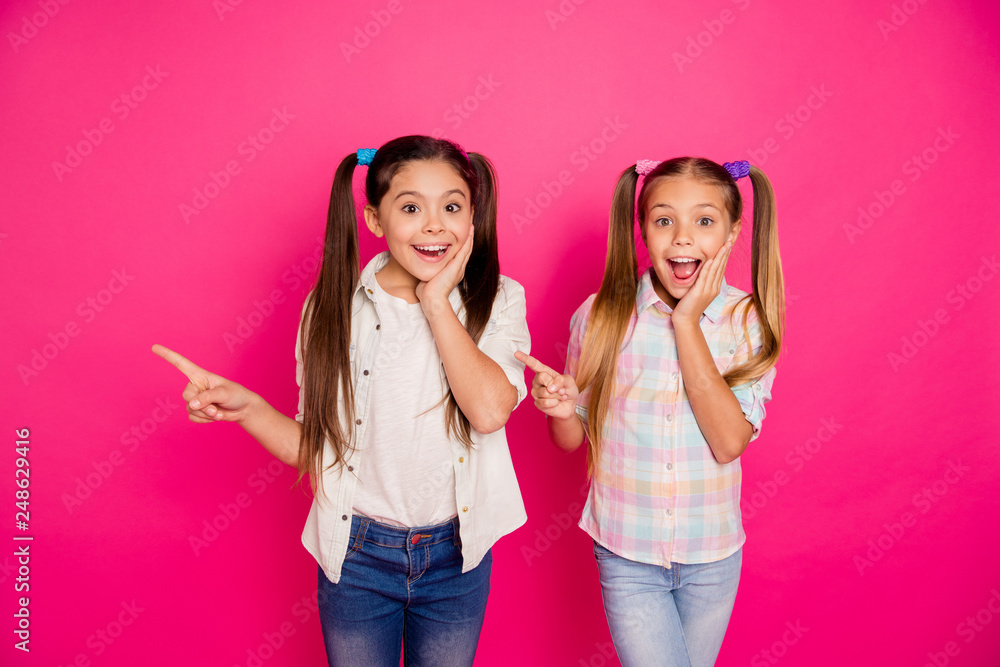 Close up photo two small little age she her girls wondered sisters show empty space point way direction finger wearing casual jeans denim checkered plaid shirts isolated rose vibrant vivid background Close up photo two small little age she her girls wondered sisters show empty space point way direction finger wearing casual jeans denim checkered plaid shirts isolated rose vibrant vivid background