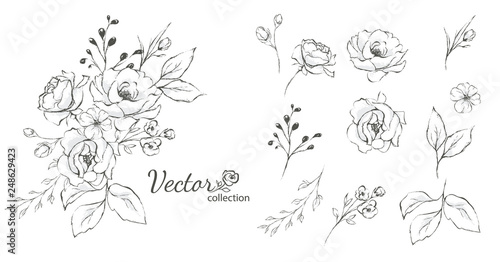Set of floral branch. Flower rose,  leaves. Wedding concept with flowers. Floral poster, invite. Vector arrangements for greeting card or invitation design