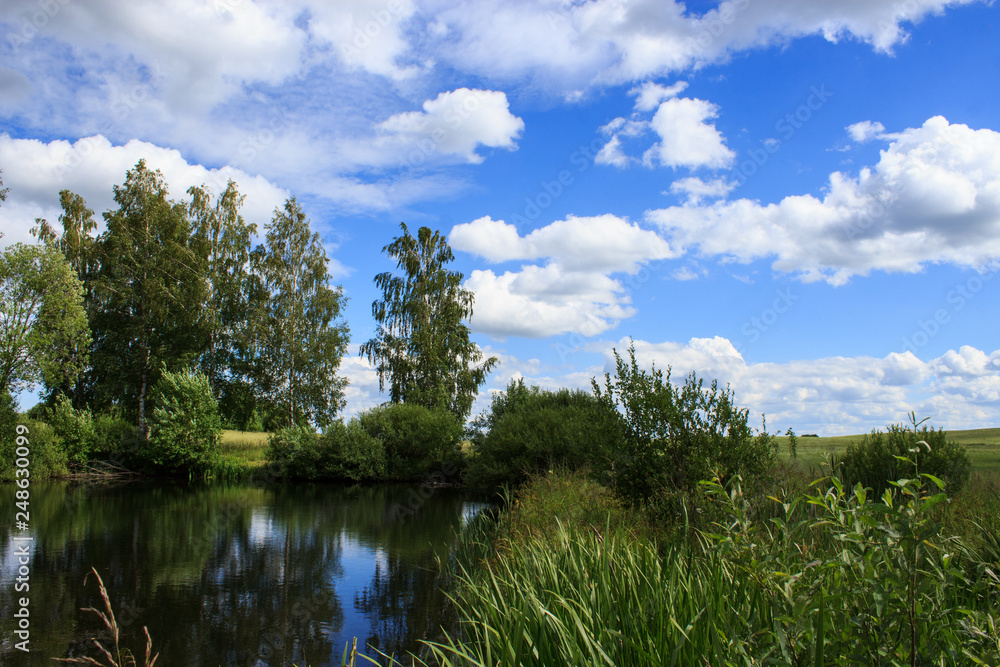 Lake image. Forest Lake. Summer landscape. The lake is surrounded by trees. Lake image. Forest Lake. Summer landscape. The lake is surrounded by trees.