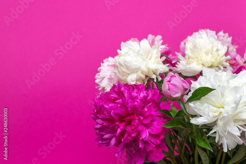 bouquet of pink and white peony flowers on pink background