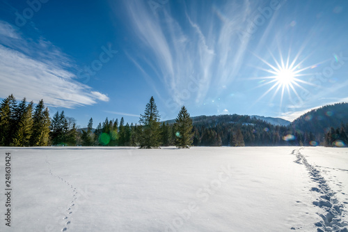 Fototapeta Naklejka Na Ścianę i Meble -  piękna słoneczna gwiazda w zimowym krajobrazie