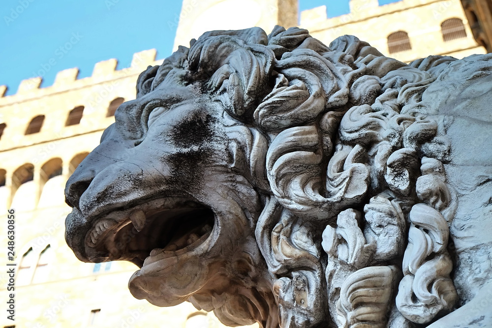 Lion of Vacca, Loggia dei Lanzi, Signoria square, Florence, Italy