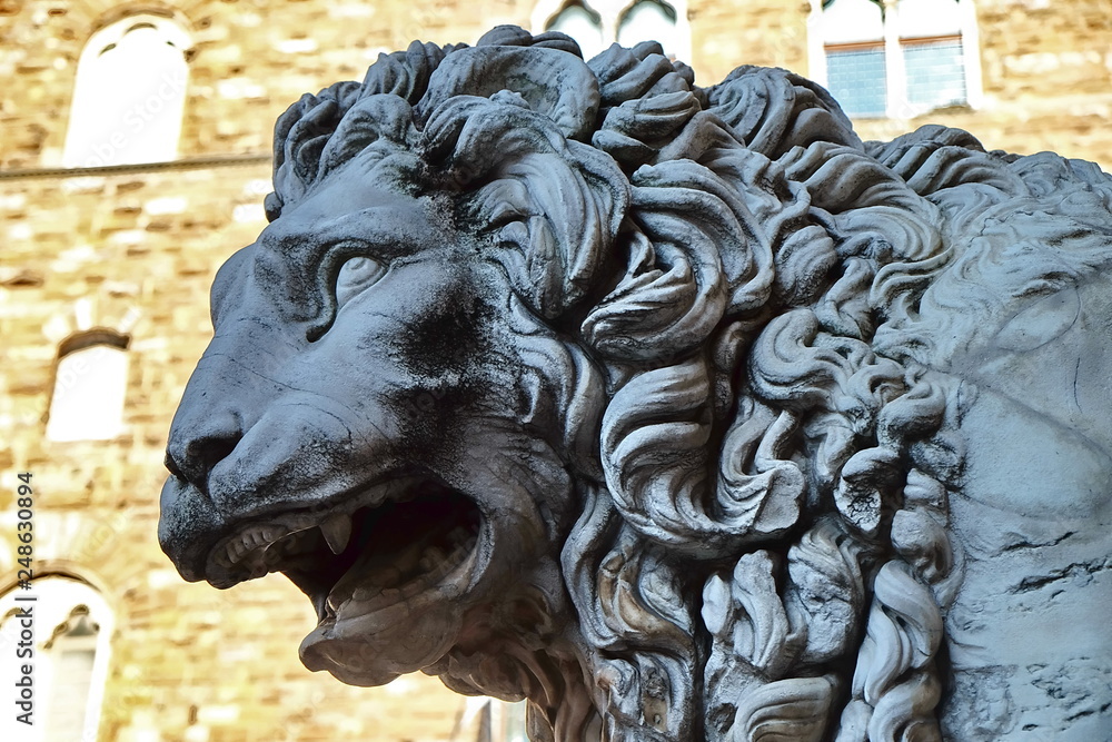 Obraz premium Lion of Vacca, Loggia dei Lanzi, Signoria square, Florence, Italy