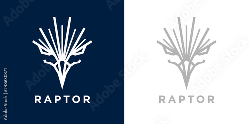 Abstract style eagle logo template design. Predator bird hawk icon. Falcon raptor emblem sign. Vector illustration.