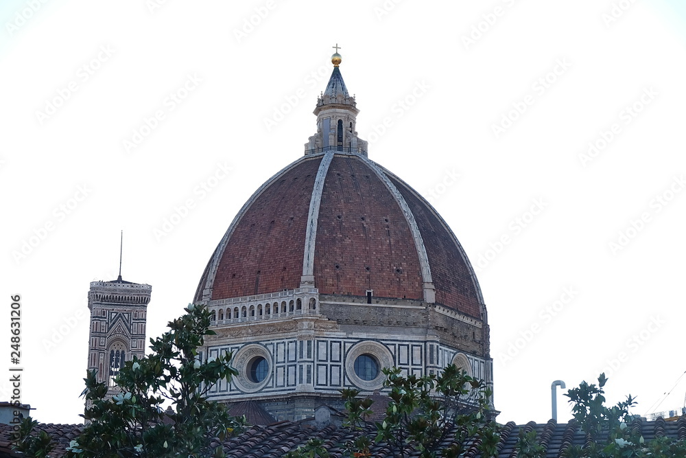 Dome of Santa Maria del Fiore cathedral, Florence, It