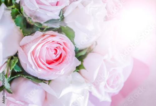 Fototapeta Naklejka Na Ścianę i Meble -  Pink and white roses bouquet