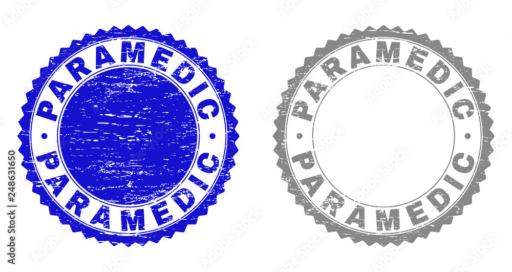 Grunge PARAMEDIC stamp seals isolated on a white background. Rosette seals with grunge texture in blue and gray colors. Vector rubber overlay of PARAMEDIC label inside round rosette.
