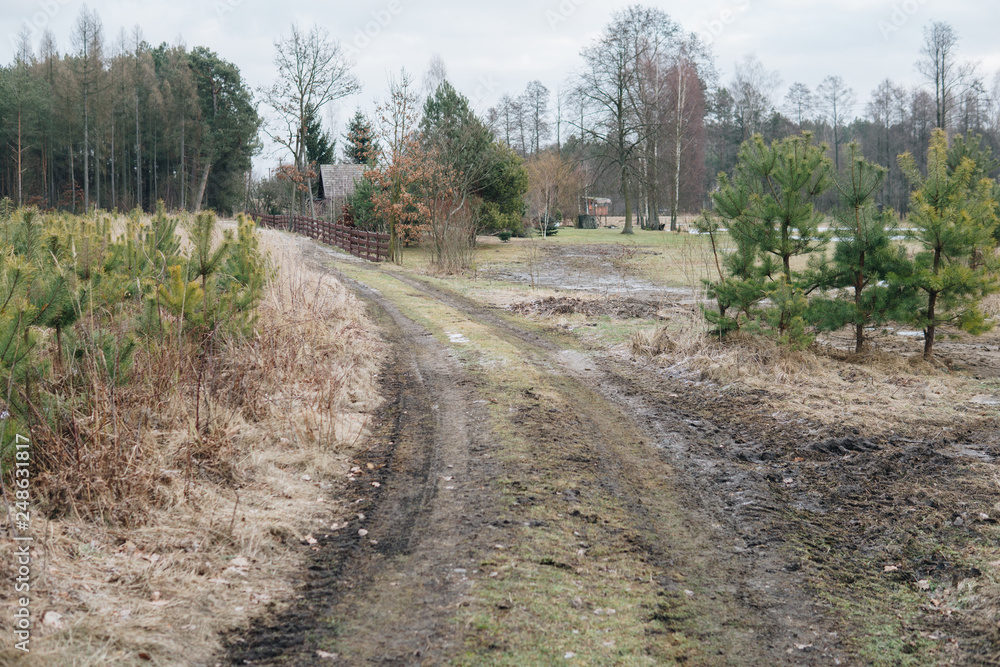 road between small pines road between small pines