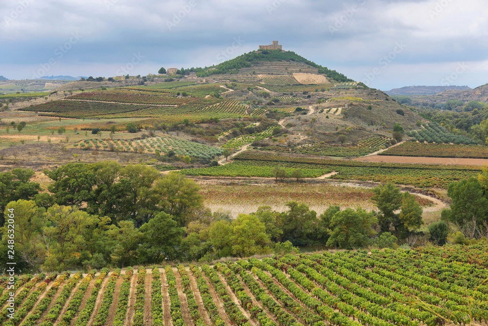 Vineyards and Davalillo castle, La Rioja (Spain)