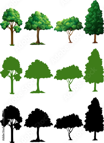 Set of tree design