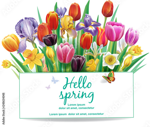 Arrangement with multicolor spring flowers