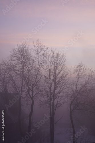 Foggy morning in February.
