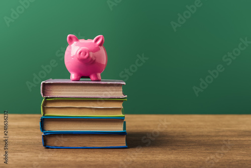 pink piggy bank on books, wooden table and green background