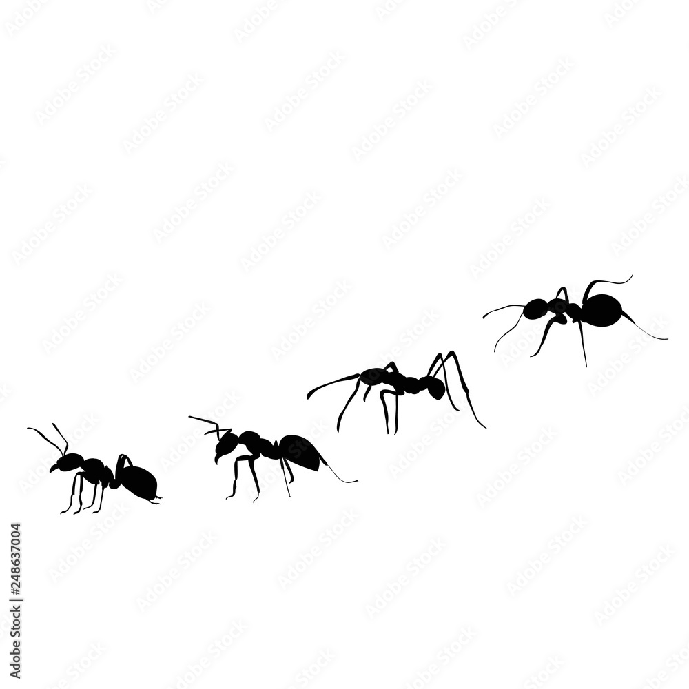 ant silhouette, colony crawling