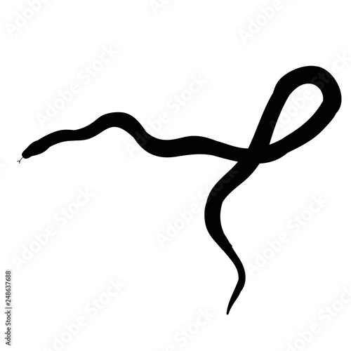 snake silhouette isolated on white background