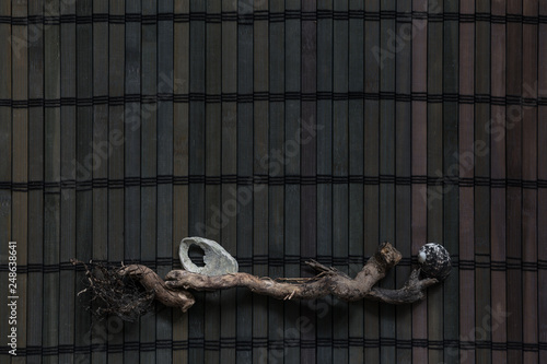 Dark marine composition of driftwood and seashells on a wooden bar.